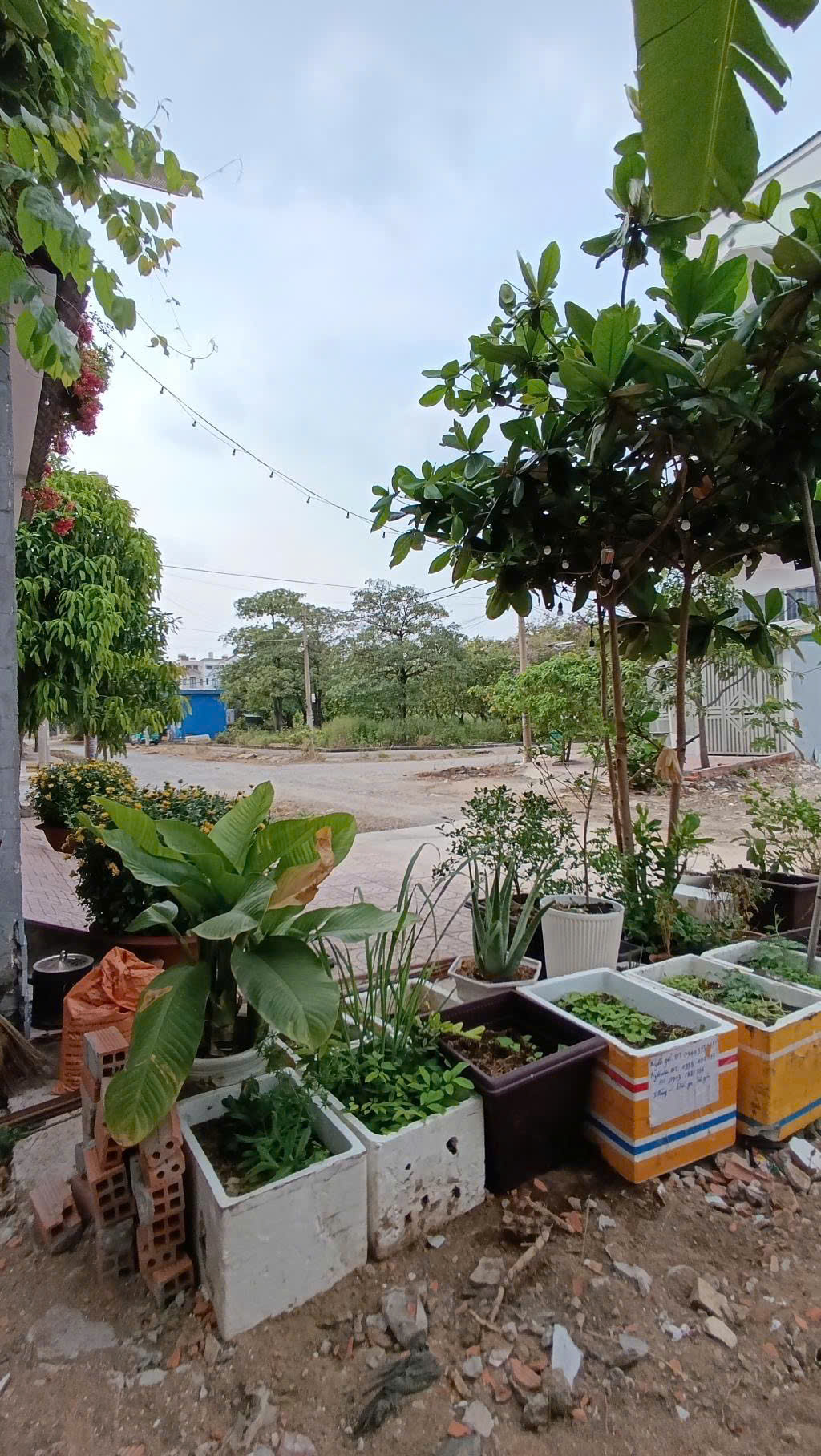 ĐẤT KẾ KHU DÂN CƯ PHÚ LỢI - CAO TẦNG ĐỒNG BỘ - 5 x 21M - NHỈNH 5 TỶ